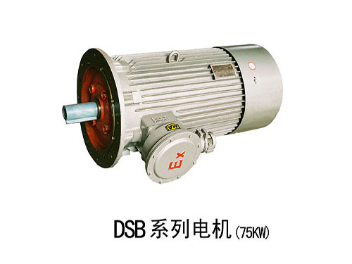 DSB防爆電機